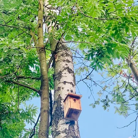 مكان تخييم Park *